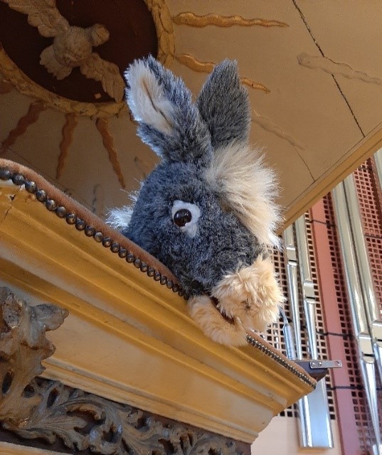 30.11.2025 - 11.00 Uhr Erster Advent: Wusel spezial Familiengottesdienst mit Esel Emil